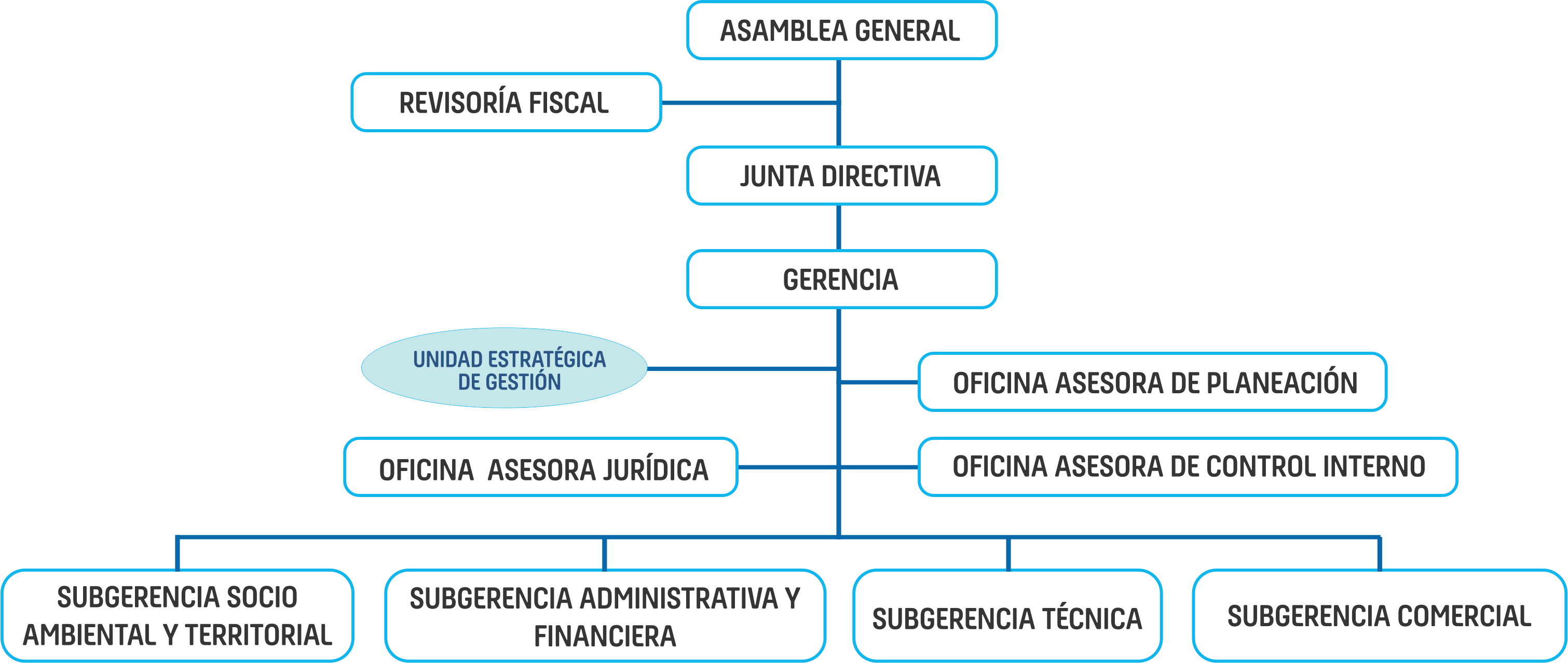 Organigrama Organigrama